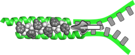 TOC_zipper-3